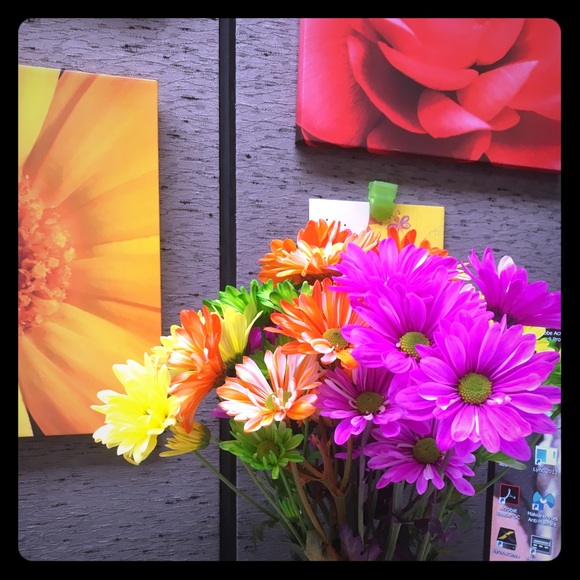 Meet your Posher, Jaci - Picture 1 of 1